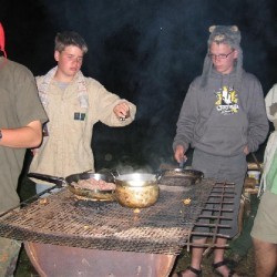 Kamp Vellereux Koala